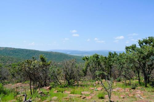 Vaalwater Cabin | Explore Masungulo Waterberg Game Farm with Family-Friendly Fun