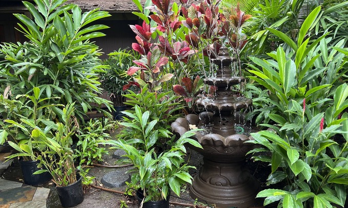 Kihei Bed & Breakfast | Discover Maui What A Wonderful B&B with Ocean Views