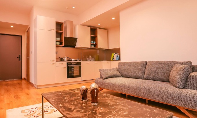Downtown Ulaanbaatar Apartment | Discover May Seven Service Apartment: 4-Star Comfort Awaits