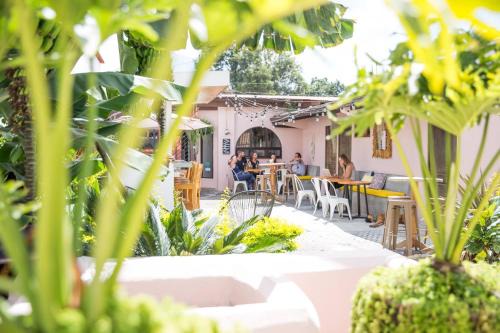 Antigua Guatemala Hostel | Discover Maya Papaya: 4-Star Family-Friendly Retreat