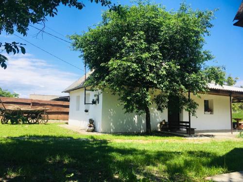 Vinnytsia Oblast Apartment | Unique House by the River - Guest Rated 10/10, Pet Friendly