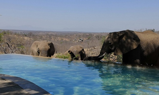Phalaborwa Cabin | Experience Mbizi Bush Lodge: Rated 9.6 with Pool & Dining