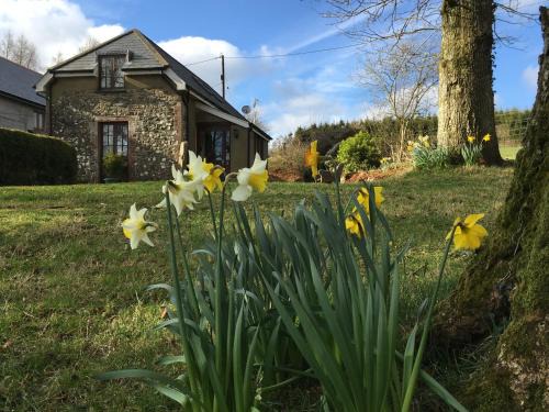 East Portlemouth House | Cozy Meadow Sweet Cottage: Family-Friendly Getaway