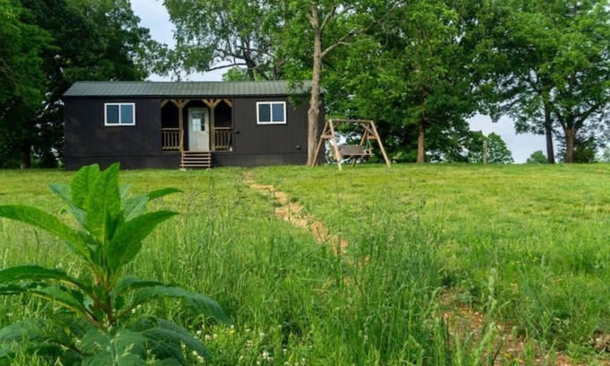 Marshall House | Pet-Friendly Meadow View Tiny Home Cabin by Buffalo River