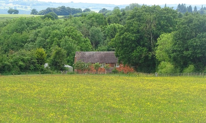 Clows Top Cottage | Meadowfields: Pet-Friendly Retreat with Hot Tub in Cleobury