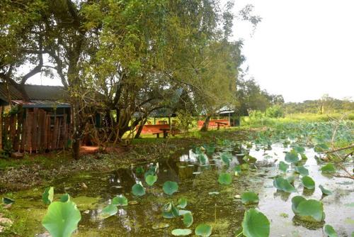 Anuradhapura House | Discover Meegahapokuna Resort: Family-Friendly Retreat