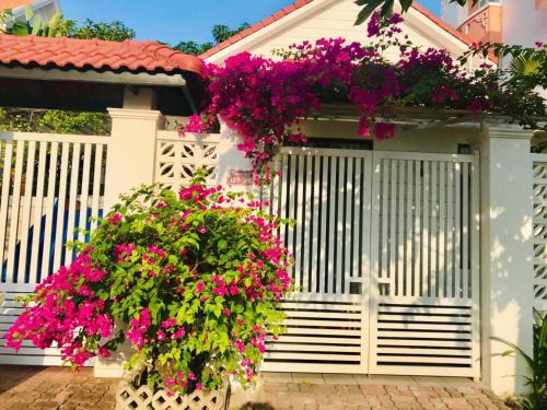 Cai Rang House | Unforgettable Stay at Mekong Palm House - Guest Rated 10/10