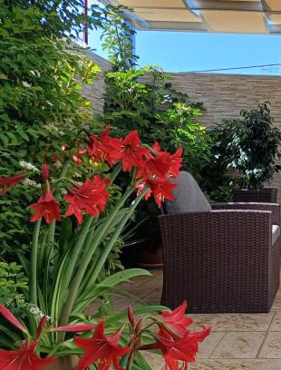 Spata-Artemida House | Convenient Apartment Near Athens Airport and Rafina Port