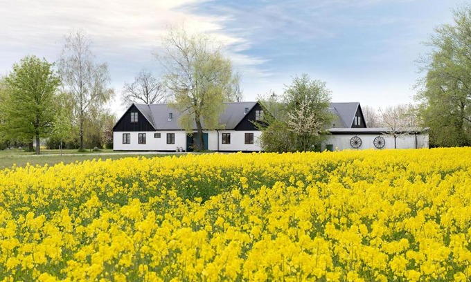 Kivik Bed & Breakfast | Guest Rated 10/10: Mellby Atelier på Österlen Awaits