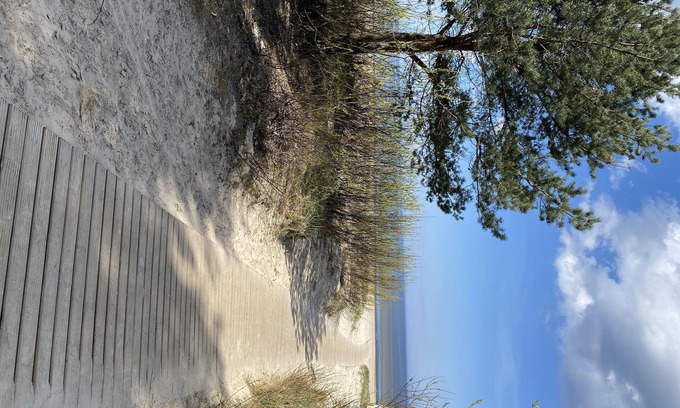 Jurmala Apartment | Convenient Melluzi Apartment Near Beach with Pool & Spa