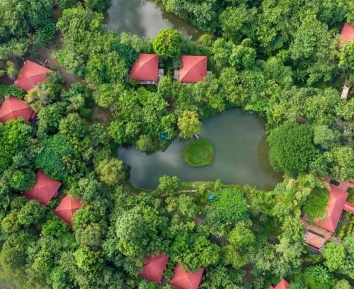 Pailin Resort | Discover Memoria Palace & Resort: Pet-Friendly Haven