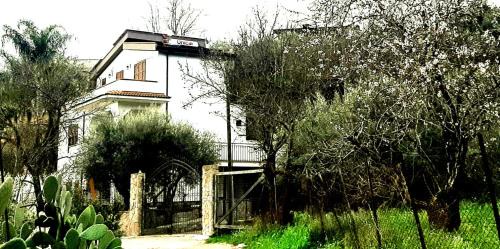 Misilmeri House | Budget-Friendly Menzel el Emir: Pet & Child Friendly Stay