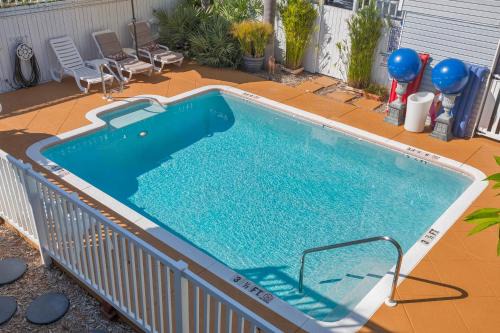 Downtown Dunedin Bed & Breakfast | Experience Meranova Guest Inn: Oceanfront Escape with Spa
