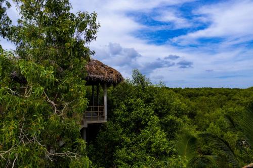 Tangalle Cabin | Relaxing Mermaid Cabana and Tree Houses for Families
