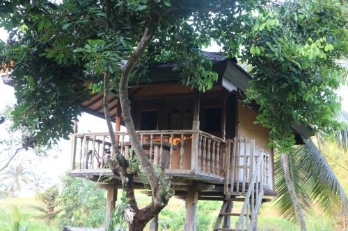 Sukasada House | Pet-Friendly Mesari Cottage Guest House - Rated 10/10!