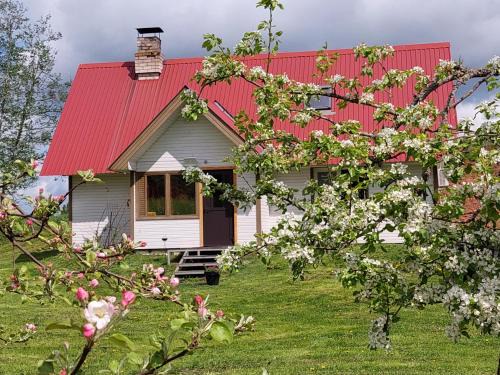 Polva County House | Mesikamäe Saunamaja: Pet-Friendly Retreat with Great Reviews