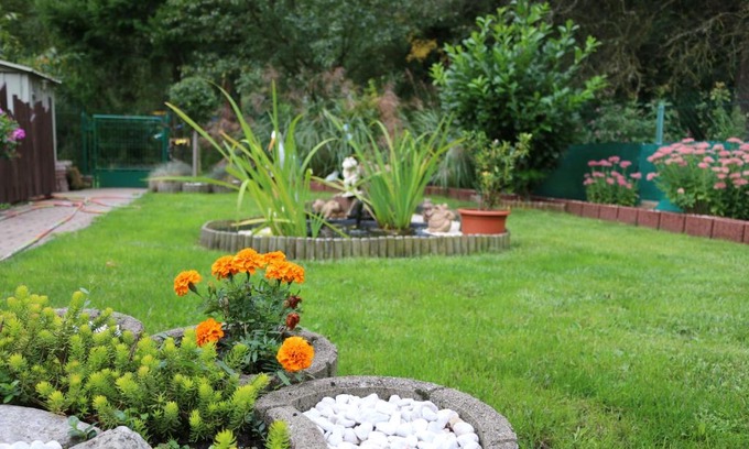 Niederbronn-les-Bains Apartment | Welcoming Meublé Celtic: Pet-Friendly with Breakfast Included