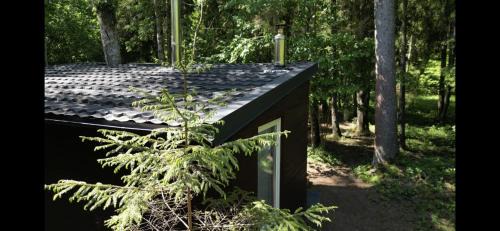 Kurtuvenai House | Guest Rated: 9.8 - Miško sielos namelis with Child-Friendly Amenities