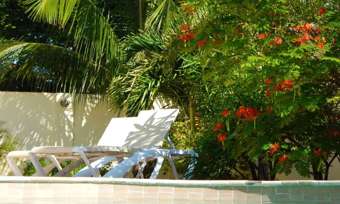 Shiribana Villa | Experience Oceanfront Bliss at Mi Gusto Villa for 6
