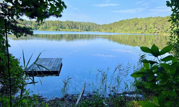 Truro House | Stylish Mid-Century Modern Truro by Great Pond with Pool