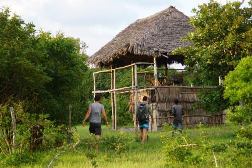 Gede Other | Discover Mida Creek Nature Camp: Pet-Friendly Retreat