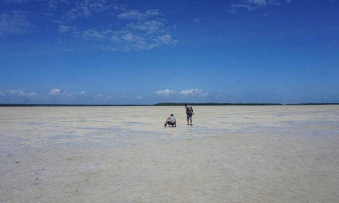 Gede Other | Explore Mida Creek Nature Camp: Family-Friendly Retreat