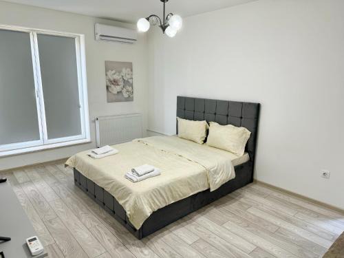 Tirgu Mures Apartment | Pet-Friendly Milan Apartments with Exceptional Guest Rating