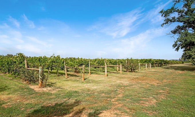 Milawa House | Experience Milawa Vineyard Views - Guesthouse with Family Amenities