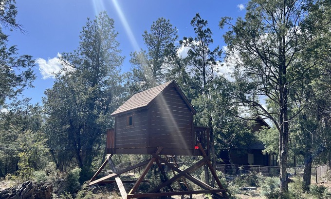 Whispering Pines Cabin | Secluded Cabin Retreat with National Forest in Backyard