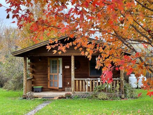 Lodi Cabin | Mill Creek Cabins