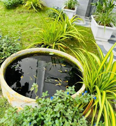 Phan Thiet Villa | Minh Hiếu Villa: Family-Friendly Retreat with Cozy Amenities