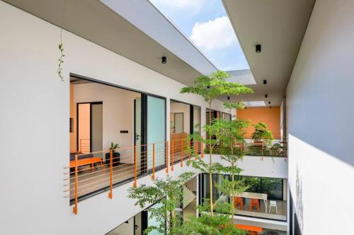 Thuy Xuan House | Discover Minh Mang Homestay: BBQ and Garden Retreat in Huế