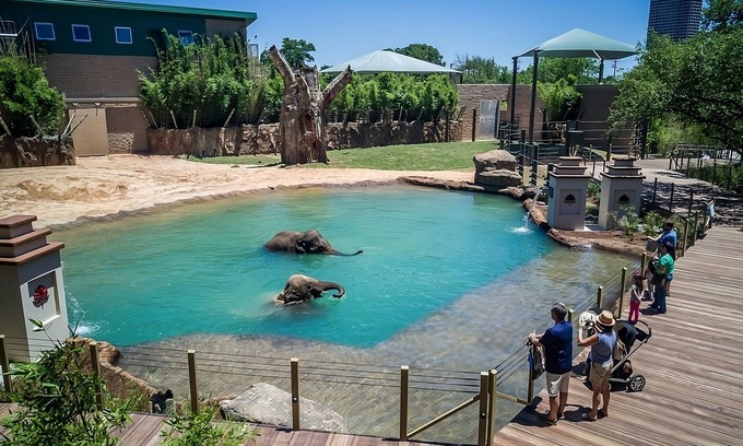 Memorial Hotel | Convenient Stay Near Houston Zoo with Pet-Friendly Options