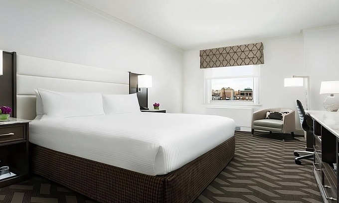 Downtown Boston House | Discover Your Ideal Pet-Friendly Getaway Today!