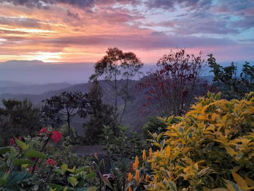 Manizales Bed & Breakfast | Discover Mirador Finca Morrogacho: Rated 9.5/10 & Family-Friendly