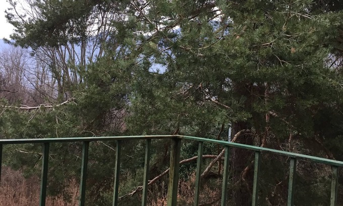 Torno Cabin | Pet-Friendly Retreat at Mirella Hut for Your Family Stay