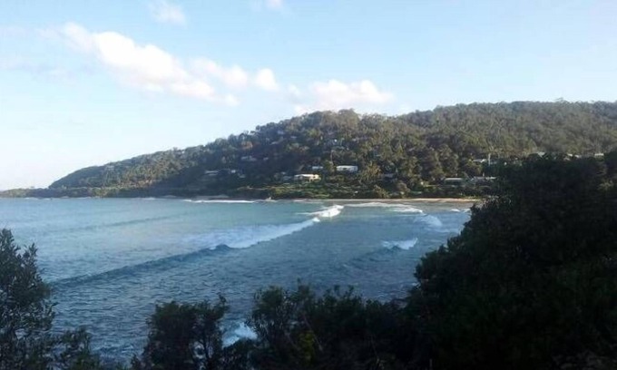 Wye River Cabin | Experience Mitchell House: Guest Rated 9.8 with Dining & Kitchen