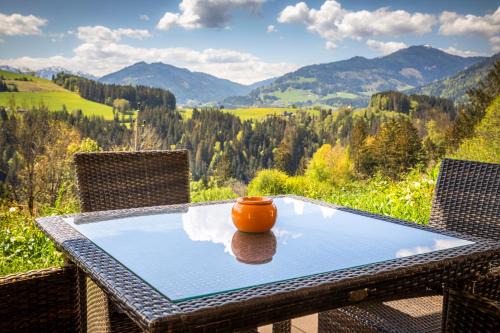 Pfarrwerfen Apartment | Mittergasteggut
