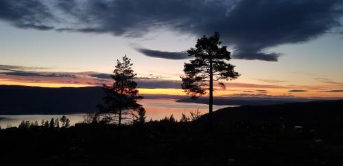 Hurdal Municipality Villa | Exceptional Mjøshytte: Eco-Friendly Retreat with Hot Tub