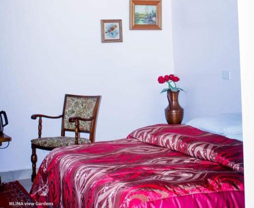 Nanyuki Hotel | Delightful MLIMAVIEW GARDENS with Restaurant & Family Fun