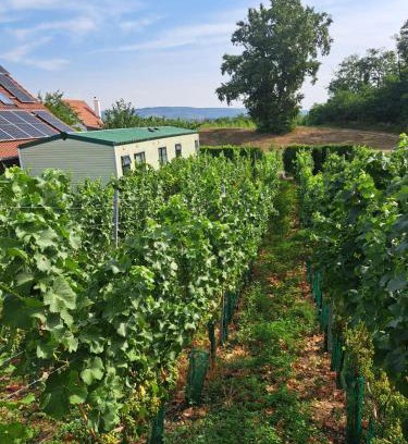 Zabcice House | Discover Mobilheim Žabčice: Family-Friendly Retreat