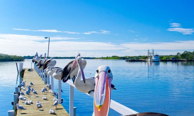 Yamba Hotel | Waterfront Relaxation at Moby Dick Resort Motel