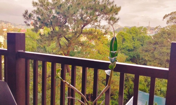 Baguio Condo | Modern 1BR Condo w/Balcony, Full Amenities & Stunning Views