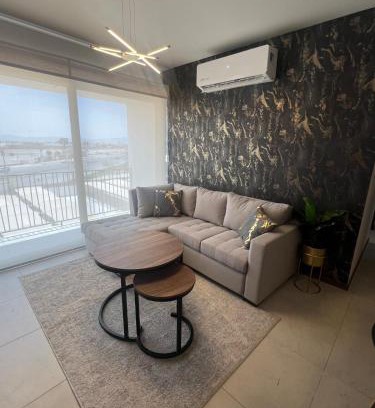 Torreon Apartment | Modern and equipped apartment