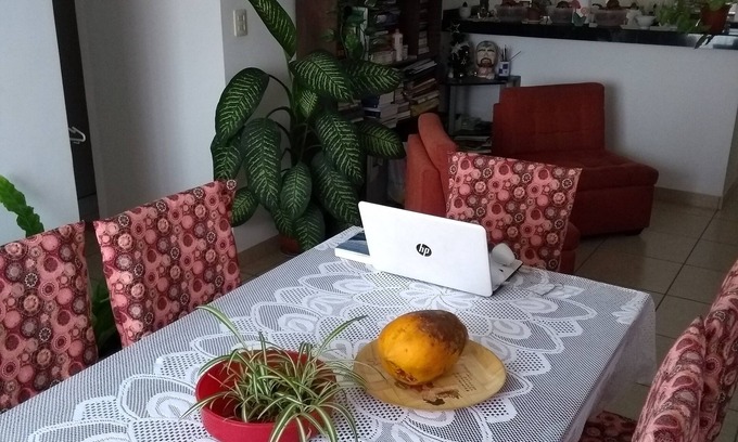 Brena Apartment | Modern Apartment Near Historic Centre with Kitchen Access