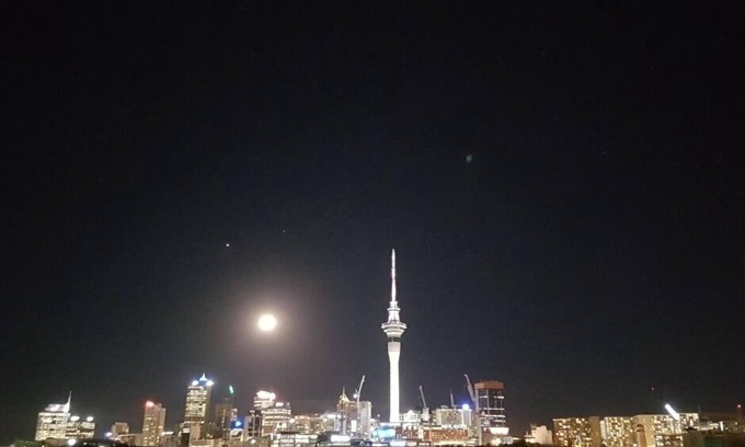 Auckland Central Business District Apartment | Modern Apartment with Pool & Spa Overlooking Victoria Park