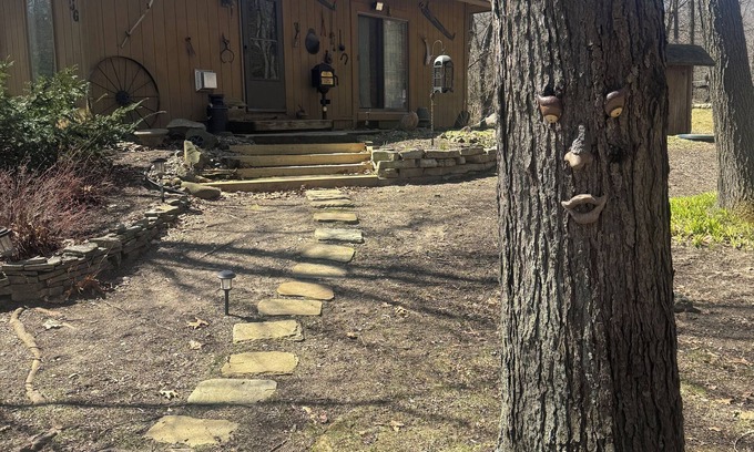 Ortonville Cabin | Modern Cabin in the Woods with WiFi, AC