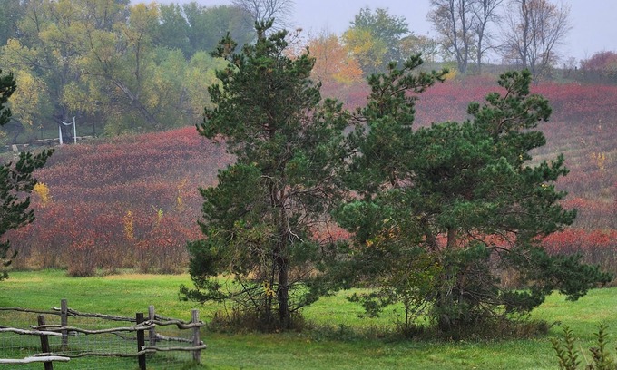 Homestead Other | Relaxing Farmhouse Retreat with Scenic Views & Kid-Friendly Amenities