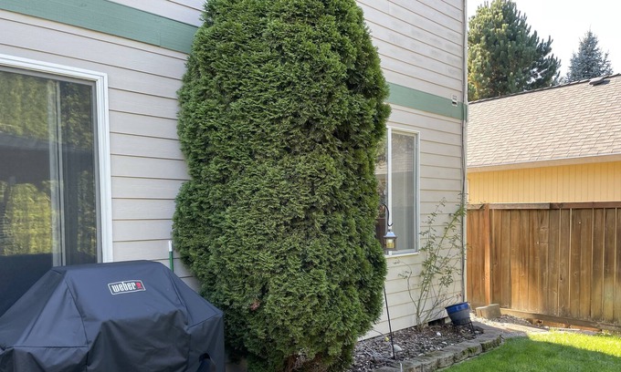 South Hill House | Modern Family-Friendly Retreat in Puyallup, WA