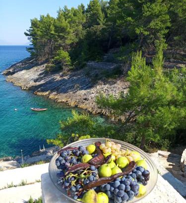 Vela Luka House | Pet-Friendly Oceanfront Escape at Modern Robinson Veli Bare